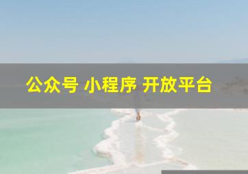 公众号 小程序 开放平台